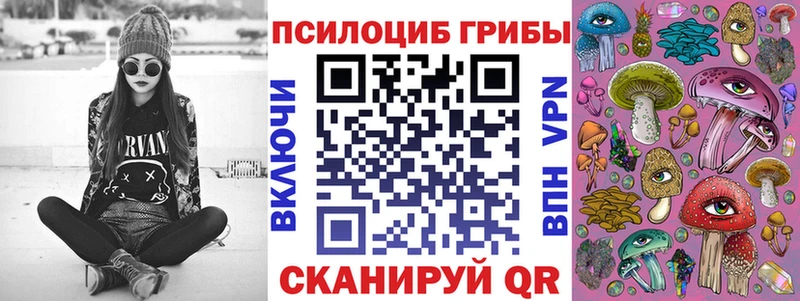 цена наркотик  Вытегра  маркетплейс формула  Галлюциногенные грибы мухоморы 